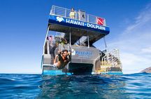 Deluxe Catamaran Swim with Dolphins in Oahu with Waterslide