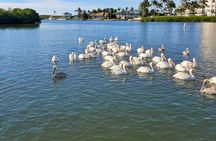 Fort Myers Beach Dolphin & Sightseeing Tour Refreshments Included