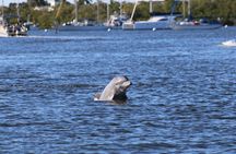 Fort Myers Beach Dolphin & Sightseeing Tour Refreshments Included