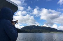 Volcanic Rotorua Day Trip from Auckland