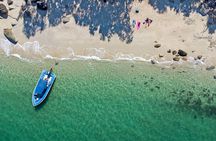 Tropical Dunk Island Half Day Activity from Mission Beach