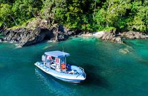 Tropical Dunk Island Half Day Activity from Mission Beach