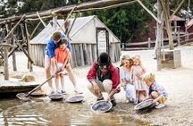 Sovereign Hill, Botanical Gardens and Melbourne Skydeck Bus Tour 