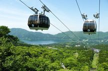 Mt.Fuji and Hakone Private SightSeeing Day Tour(from Tokyo)