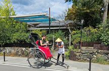 Kyoto's Arashiyama Bamboo Grove: 3-Hour Guided Tour