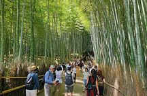 Kyoto's Arashiyama Bamboo Grove: 3-Hour Guided Tour
