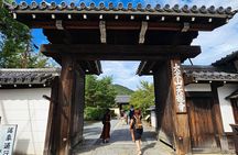 Kyoto's Arashiyama Bamboo Grove: 3-Hour Guided Tour