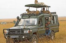 4-Day Amboseli National Park Safari on 4x4 Landcruiser Jeep