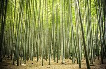 Full Day Private Tour In Kamakura English Speaking Driver 
