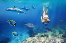 Fullday Catamaran Cruise to Islands & Snorkeling at Coin de MIre