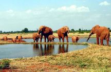 3 Day Safari to Tsavo East and Tsavo West from Coastal Beaches