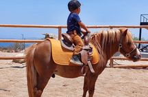 Private Horse Back Riding in El Sargento La Ventana