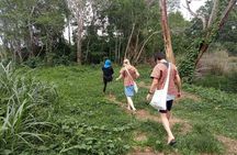 4-Hours Phuket Ethical Elephant Sanctuary Tour with Lunch