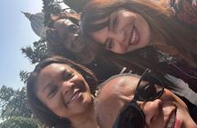 Private Vatican Experience