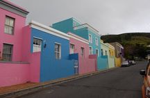 Cape of Good Hope>Cape Point>Penguins & Wine Tasting