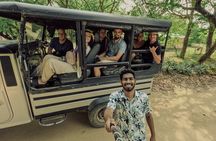 Half-Day Wild Safari in Kumana National Park