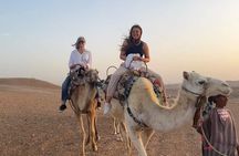 Agafay Desert: Excursion Quad bike, Camel Ride, dinner and Show 