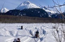 Snowmobile and Snowshoe Dual Adventure in Kenai Fjords NP