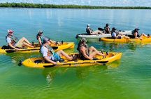 Deluxe Kayak Tour Marco Island and Naples, Florida