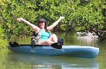 Kayak Tour Marco Island and Naples
