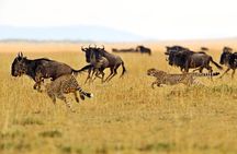 Private Safari in Tarangire National Park