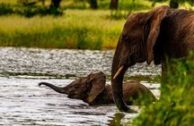 Private Safari in Tarangire National Park
