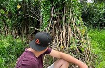 Private Panama Canal Boat + Wildlife Search