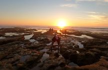 Explore San Diego Tide Pools with a Marine Biologist
