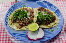 Taco tasting around Puerto Vallarta and Pitillal