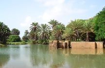 4X4 Tour to Rabil, Shipwreck, Catholic Chapel and the City