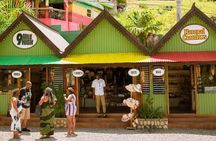 Private Tour Day-Trip Nile mile Bob Marley House With Admission 
