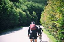 Assisted Bicycle Experience to the Beagle Channel Viewpoint