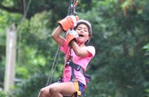 Zipline Experience & Obstacle Course at Harrison's Cave by Chukka
