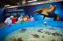 Cairns Aquarium General Admission and Turtle Hospital Tour