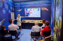 Cairns Aquarium General Admission and Turtle Hospital Tour