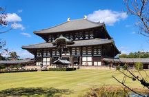Full Day Guided Tour to Nara from Osaka by Van