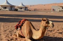 2 Days Desert Adventure Package