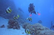 Intro Diving Beginner and Discover Red Sea Underwater