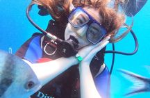 Intro Diving Beginner and Discover Red Sea Underwater