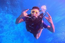 Intro Diving Beginner and Discover Red Sea Underwater