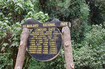 8 Day Kilimanjaro Lemosho Climb