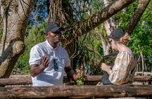 Stone Town with Prison Island 