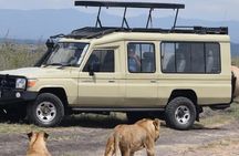 Private Half Day Tour in Nairobi National Park Safari