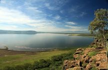 Full-Day Lake Nakuru National Park Private Tour With 4*4 Vehicle