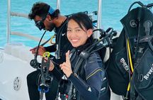 Diving Experience by Boat in Dubai