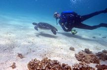 Diving Experience by Boat in Dubai