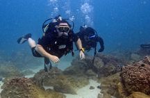 Diving Experience by Boat in Dubai