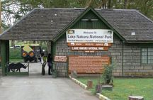  Private 4WD Lake Nakuru Day Tour from Nairobi
