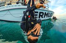 Diving Experience by Boat in Dubai