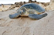 5 Days Jewels Of Oman Package